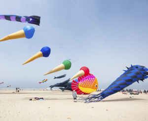 Kite Lincoln City