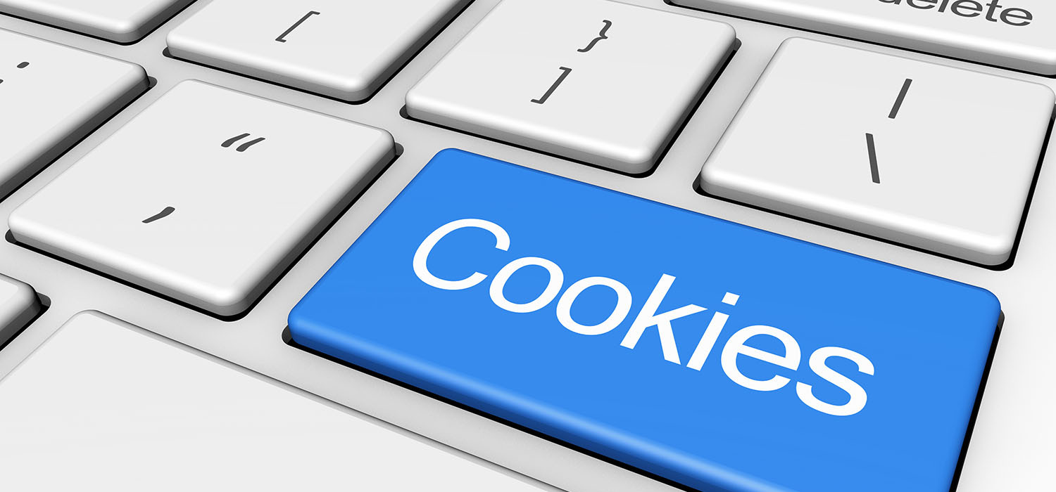 COOKIE POLICY FOR COASTAL INN WEBSITE